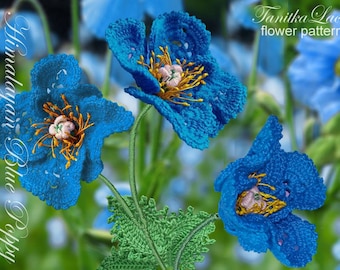 Vintage Shelley Blue Poppy in LUDLOW Teacup and Saucer - Etsy
