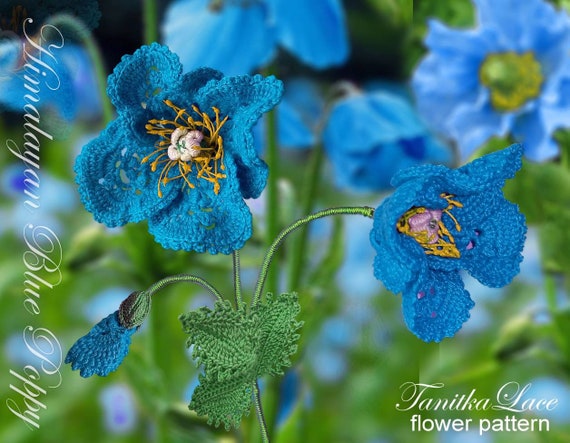 Blue Poppy Crochet Pattern: DIY Lace Flower Tutorial (PDF) - Etsy