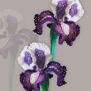 May include: Two crocheted iris flowers with white and purple petals and green stems. The flowers are handmade and feature intricate details. The text "Tanitka Lace flower pattern" is in the upper left corner.