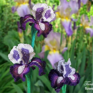 May include: Crocheted iris flowers in shades of purple, white, and green. The handmade flowers have detailed petal patterns and are displayed against a blurred background of similar flowers. The image includes the text "Tanitka Lace flower pattern".