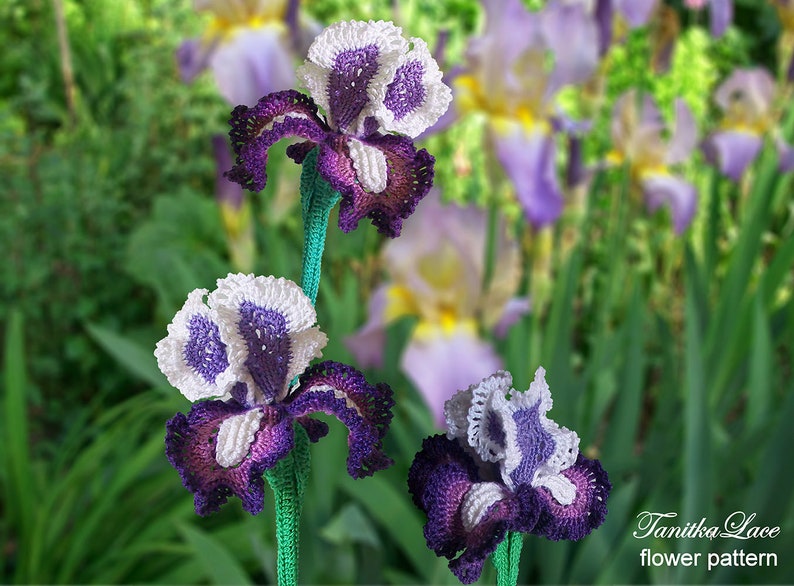 May include: Crocheted iris flowers in shades of purple, white, and green. The handmade flowers have detailed petal patterns and are displayed against a blurred background of similar flowers. The image includes the text "Tanitka Lace flower pattern".