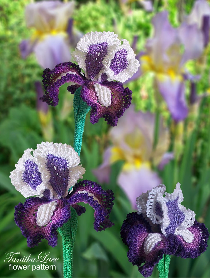 May include: Handmade crochet iris flowers in shades of purple, white, and green. The flowers have detailed petal work and are displayed against a blurred background of similar flowers. The text "Tanitka Lace flower pattern" is visible.