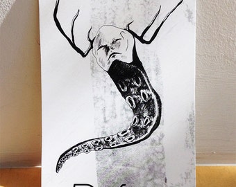 Small Legion Collection, Black and White - 5 x 7 Prints
