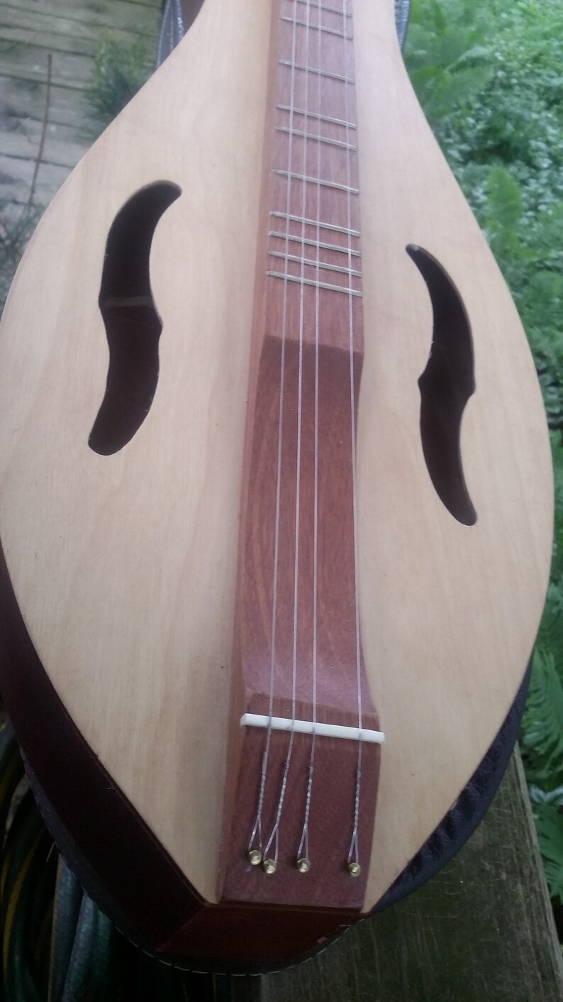 Vintage Dulcimer With Case Hand Crafted Refurbished Polished Etsy