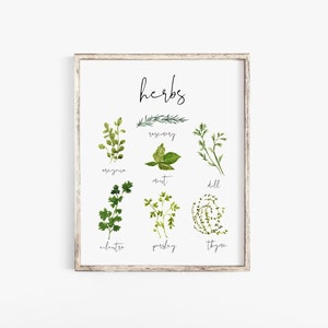 Printable Kitchen Wall Art, Watercolor Herb Print, Watercolor Herb Printable, Kitchen Herbs Art Printable, Kitchen Spices Art Print, Herbs