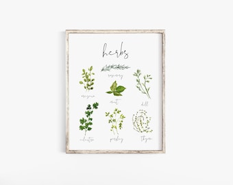Printable Kitchen Wall Art, Watercolor Herb Print, Watercolor Herb Printable, Kitchen Herbs Art Printable, Kitchen Spices Art Print, Herbs