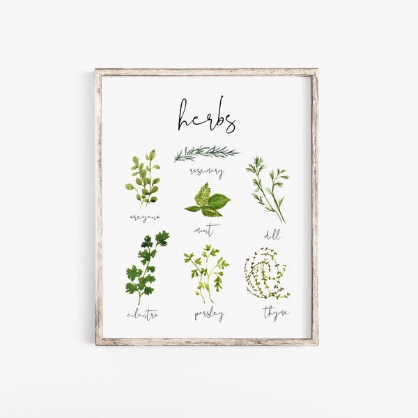 Watercolor Herbs - Etsy