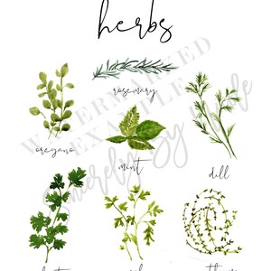 Printable Kitchen Wall Art, Watercolor Herb Print, Watercolor Herb ...