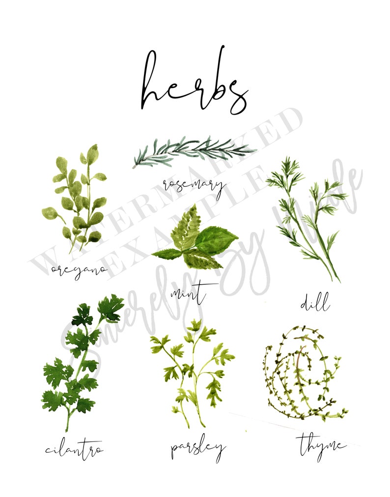 Printable Kitchen Wall Art Watercolor Herb Print Watercolor - Etsy