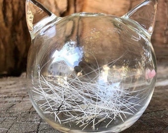 May include: A clear glass cat-shaped container with white cat hair inside. The container has a rounded body and two pointed ears.