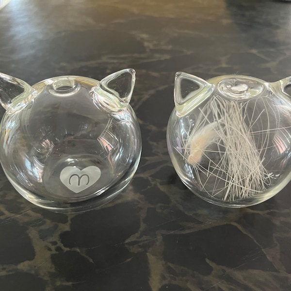 pre order for whisker bank by meowlingual