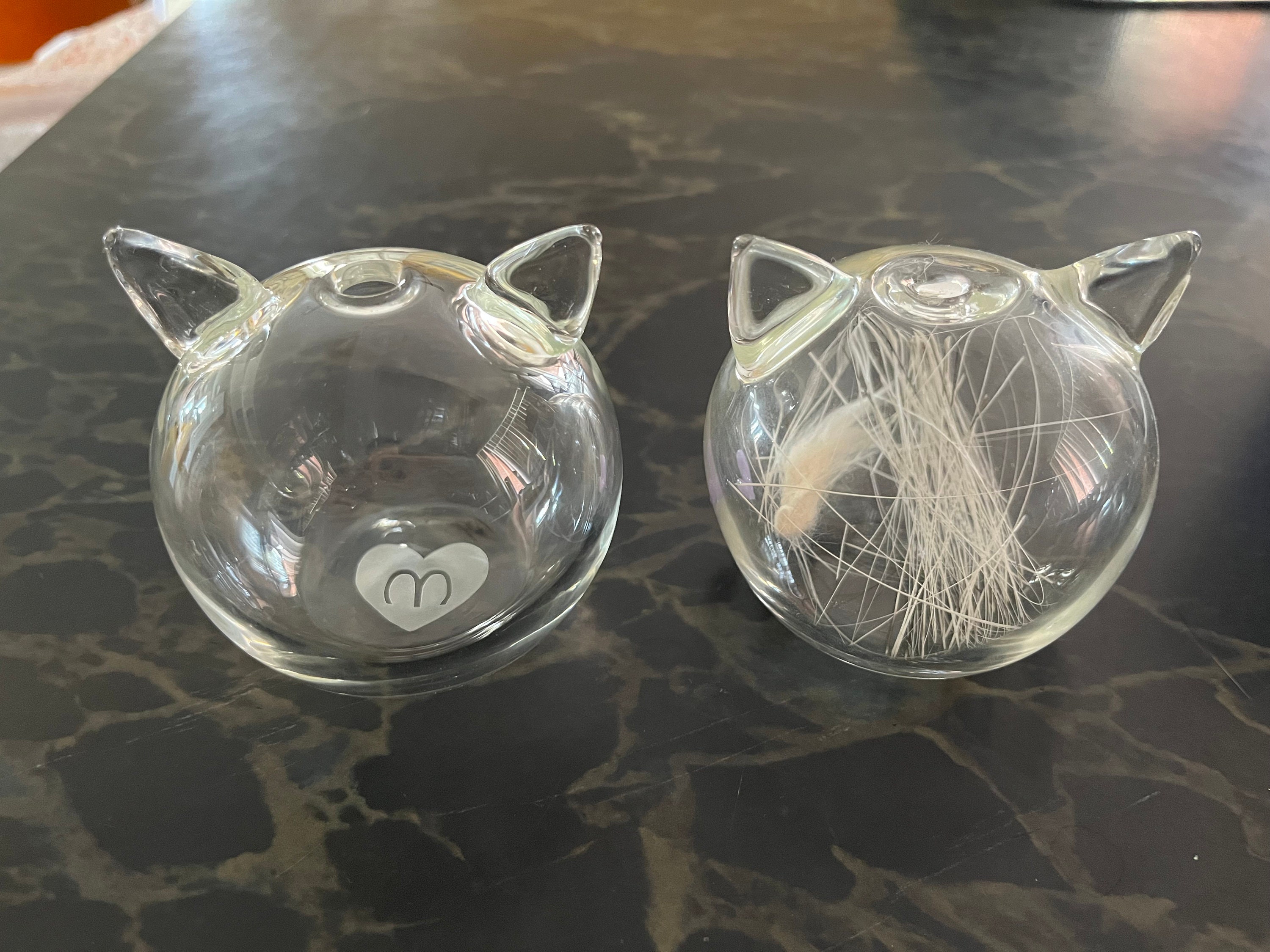 whisker bank by meowlingual