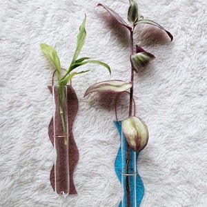 May include: Two glass propagation vases with plants. One vase is brown and the other is blue. Each vase has a gold-colored metal ring and is attached to a wavy, decorative backing. The plants have green and purple leaves.