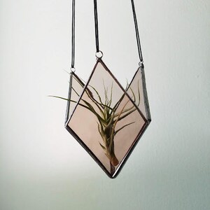 May include: A hanging geometric glass terrarium with a plant inside. The terrarium is diamond-shaped with a dark metal frame and black hanging cords. The plant has long, thin green leaves.