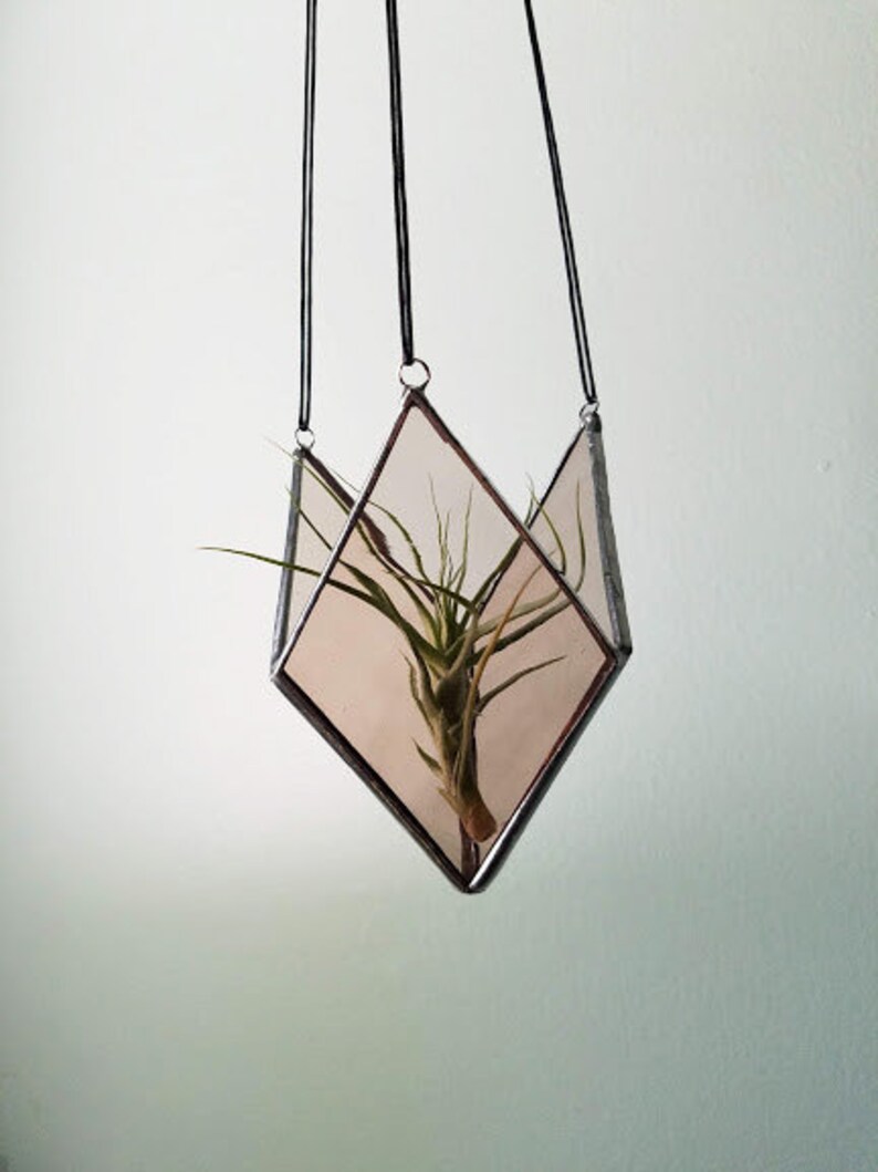 May include: A hanging geometric glass terrarium with a plant inside. The terrarium is diamond-shaped with a dark metal frame and black hanging cords. The plant has long, thin green leaves.