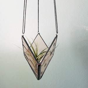 May include: A hanging geometric glass planter with a plant inside. The planter is a clear, V-shaped container with black trim, suspended by black cords. The plant has long, green leaves.