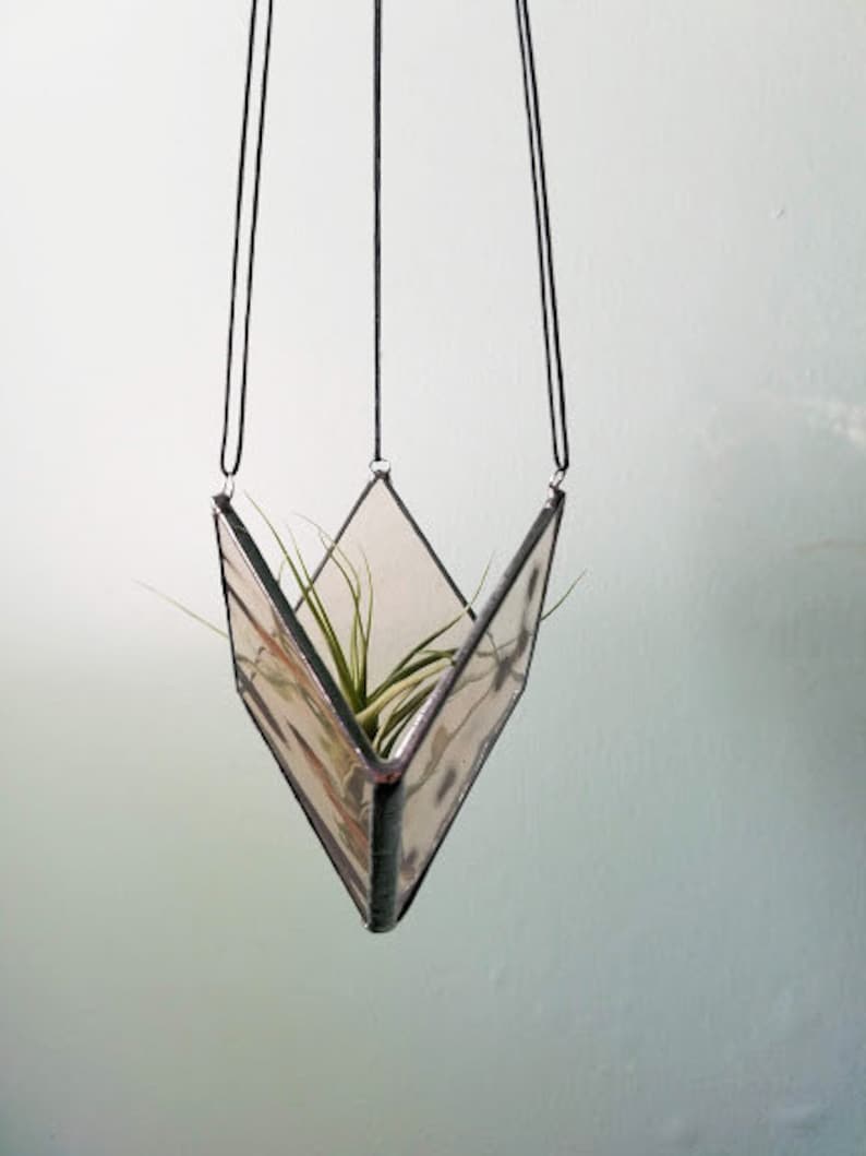 May include: A hanging geometric glass planter with a plant inside. The planter is a clear, V-shaped container with black trim, suspended by black cords. The plant has long, green leaves.
