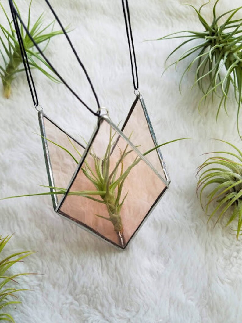 May include: A geometric, hanging air plant terrarium with a pink-tinted glass design. The terrarium is suspended by a black cord and contains a green air plant. The background is a soft, white, textured surface. The terrarium is a decorative item.