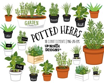 Potted herbs clipart herb garden aloe basil thyme chives and rosemary fresh herbs in pots and wooden crate. Terracotta herb pots.