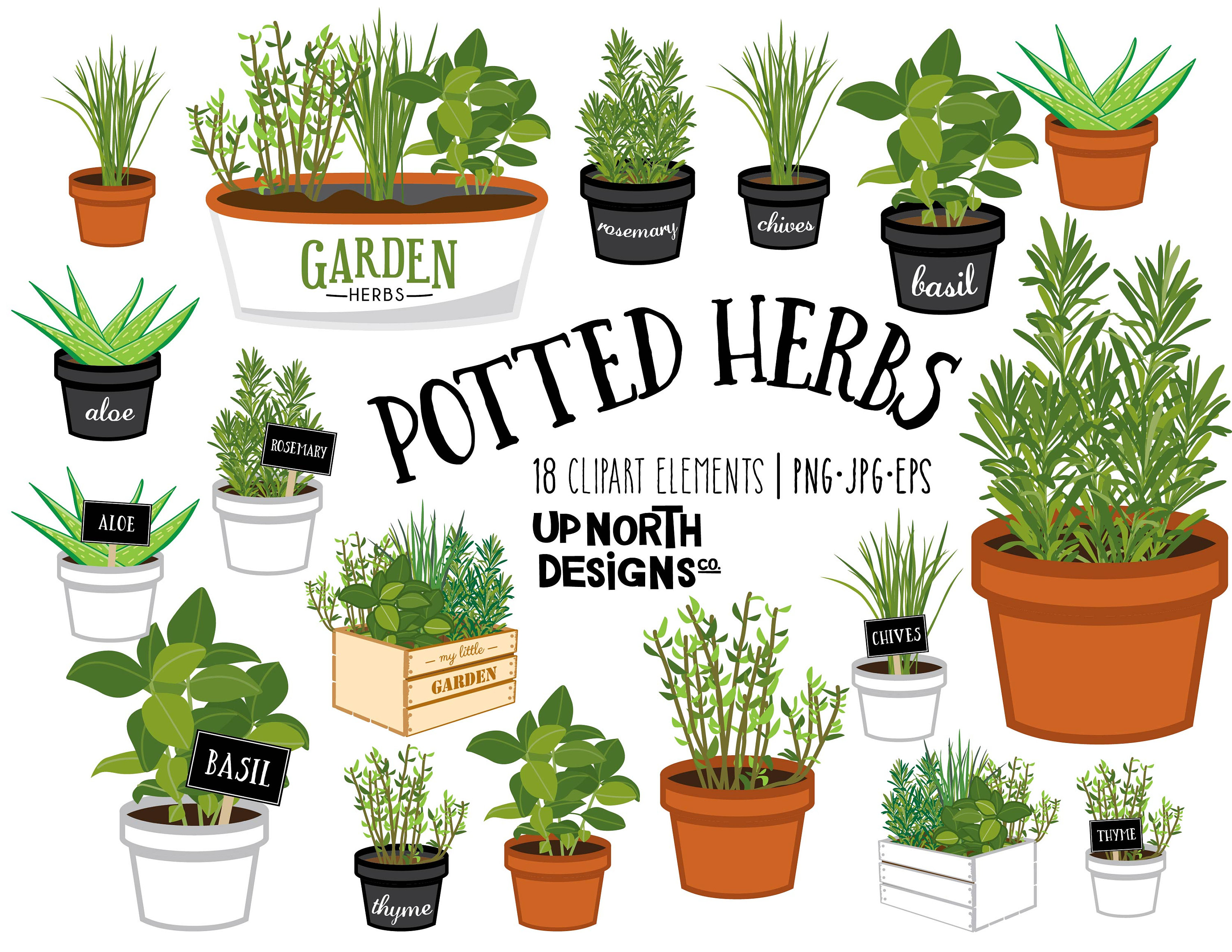 Potted Herbs Clipart Herb Garden Aloe Basil Thyme Chives and Rosemary