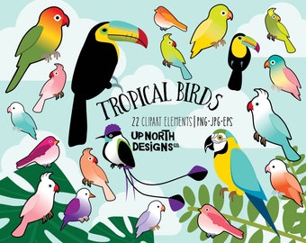 Tropical bird clipart set including parrot, macaw, toucan, cockatiel, lovebirds, spatuletail hummingbird and more colourful birds