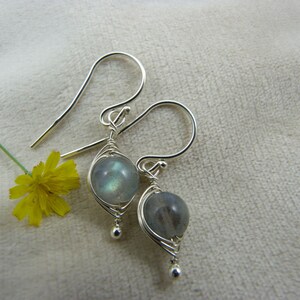 以下が含まれることがあります： イリデッセント、丸い、グレーブルーの石が付いた、銀色のワイヤーで包まれたイヤリングのペア。 イヤリングはしずく型で、銀色のフックからぶら下がっています。 小さな黄色の花と緑の茎が背景にあります。