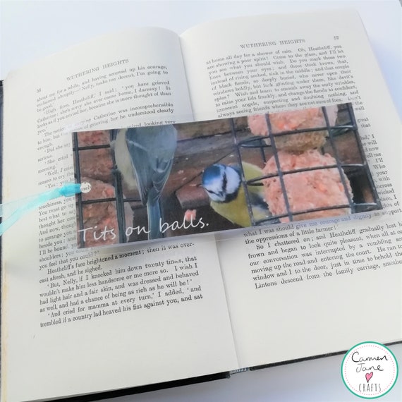 Blaumeisen Auf Talg Kugeln Lesezeichen Witz Lustig Twitcher Geschenk Geschenk Buchliebhaber