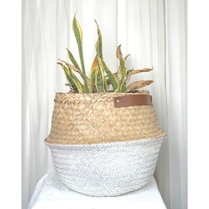 Large White Bottom Seagrass Basket with leather handler,  Natural Seagrass Belly Basket, Modern Planter, Foldable Basket, Woven Planter Pot