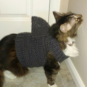 Crochet Pattern- Cat Shark Sweater