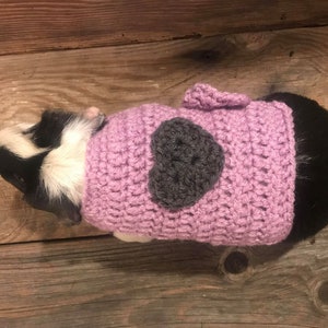 Guinea Pig Heart Sweater for Valentines Day
