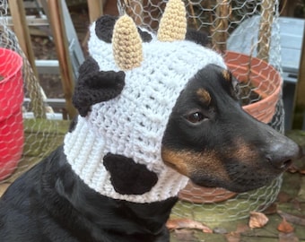 May include: A black and brown dog wearing a white crocheted cow hat with black spots and brown horns.