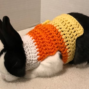 Rabbit Costume, Candy Corn Costume, Rabbit Sweater, Rabbit Clothes, Small Pet Costume, Clothes for Rabbit, Bunny Clothes, Halloween Costume