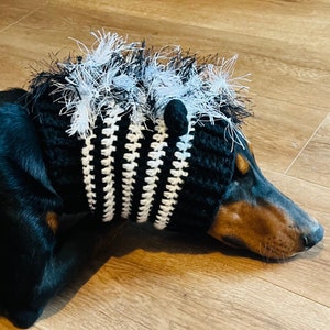 May include: A black and white striped crocheted dog hat with a white fluffy pom-pom on top. The hat is worn by a black and brown dog.