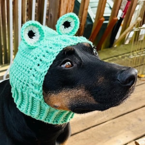 May include: A black dog wearing a green crocheted frog hat with white eyes. The hat has a textured knit pattern.