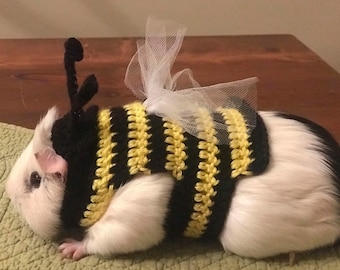 Guinea Pig Bumble Bee Costume, Bumble Bee Outfit, Guinea Pig Clothes, Halloween Costume, Spring Costume, Bug Costume, Pig Hat