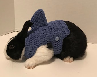 Bunny sweaters clearance