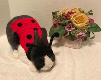 Rabbit Costume, Rabbit Ladybug Costume, Rabbit Clothes, Rabbit Sweater