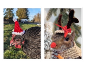 Crochet Pattern Small Animal Christmas Hats- Santa Hat & Reindeer Hats