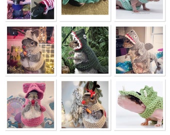 9 Crochet Pattern Guinea Pig Clothes & Costumes Collection Volume 2- 9 Crochet Patterns eBook