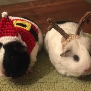 Guinea Pig Santa Clothes, Guinea Pig Santa Hat, Pet Santa Hat, Pet Christmas Hat, Small Santa Hat, Guinea Pig Christmas, Guinea Pig Clothes