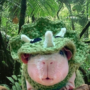 Modello all'uncinetto per costume da triceratopo per porcellini d'India e piccoli animali