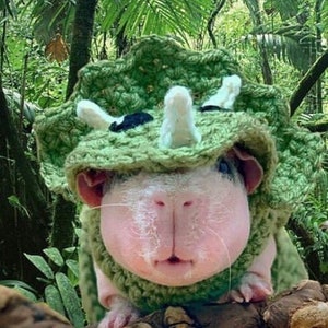 Crochet Pattern Triceratops Costume for Guinea Pigs and Small Animals