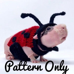 Crochet Pattern Guinea Pig Ladybug Costume, Guinea Pig Clothes Pattern, Guinea Pig Sweater Pattern, Skinny Pig Sweater Crochet Pattern