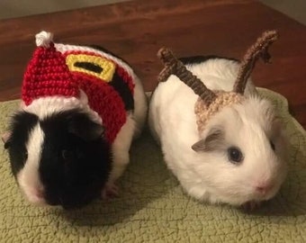 Guinea Pig Santa Clothes, Guinea Pig Santa Hat, Pet Santa Hat, Pet Christmas Hat, Small Santa Hat, Guinea Pig Christmas, Guinea Pig Clothes