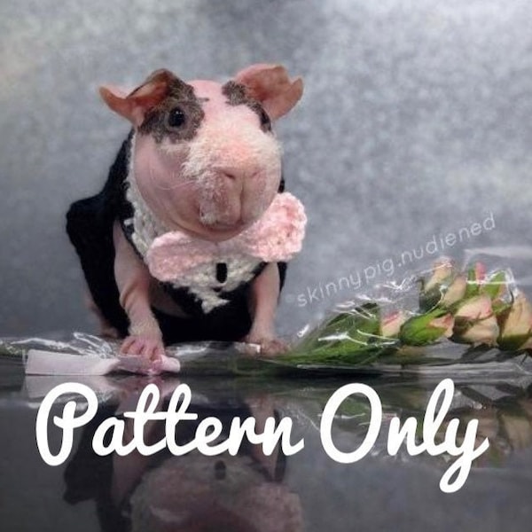 Crochet Pattern Guinea Pig Tuxedo, Guinea Pig Clothes Pattern, Guinea Pig Sweater Pattern, Skinny Pig Sweater Crochet Pattern