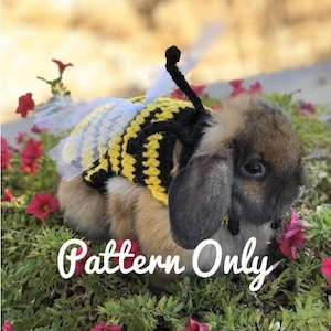Crochet Pattern Rabbit Bumble Bee Costume, Rabbit Clothes Pattern