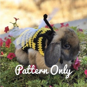 Crochet Pattern Rabbit Bumble Bee Costume, Rabbit Clothes Pattern