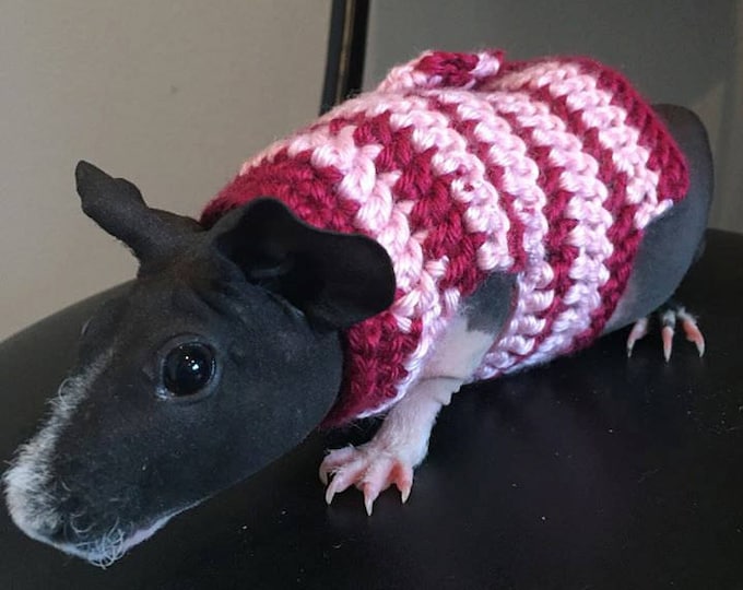 Guinea Pig Striped Sweater Guinea Pig Clothing Skinny Pig Etsy