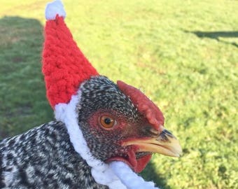 Chicken Santa Hat, Bird Santa Hat, Pet Santa Hat, Bird Christmas Hat, Pet Christmas Hat, Small Santa Hat, Chicken Christmas Hat