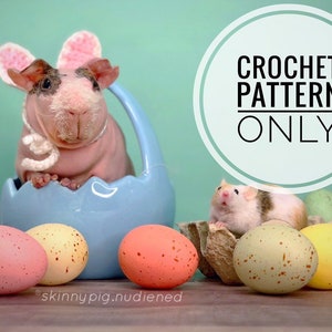Crochet Pattern Bunny Ears for Pets, Rabbit Ears for Pets Crochet Pattern image 2